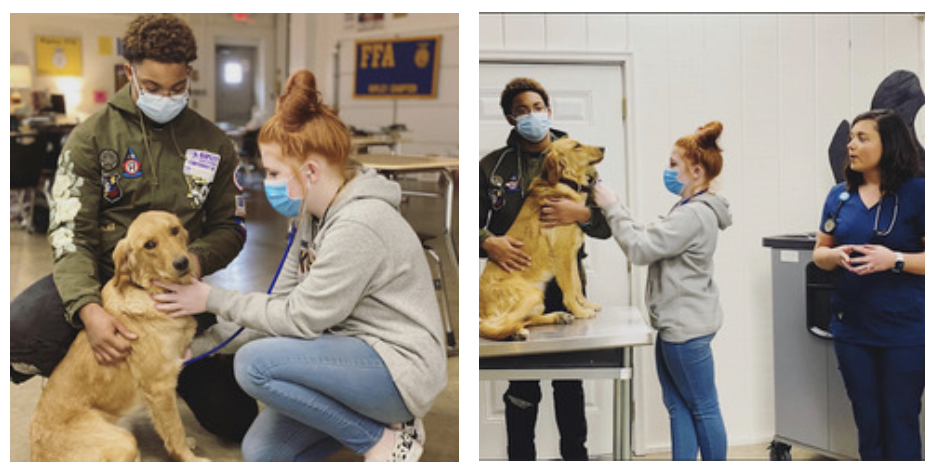 Veterinary and Animal Science Program of Study at RHS | Halls High School