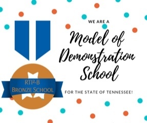Model of Demonstration School