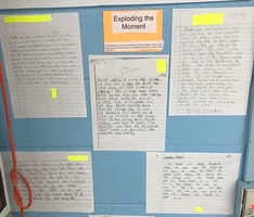 The Search for High-Quality Curriculum and Instructional Materials