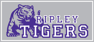 Boys Basketball Qualifies for Region 8 AA Tournament
