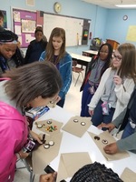 Classroom Happenings