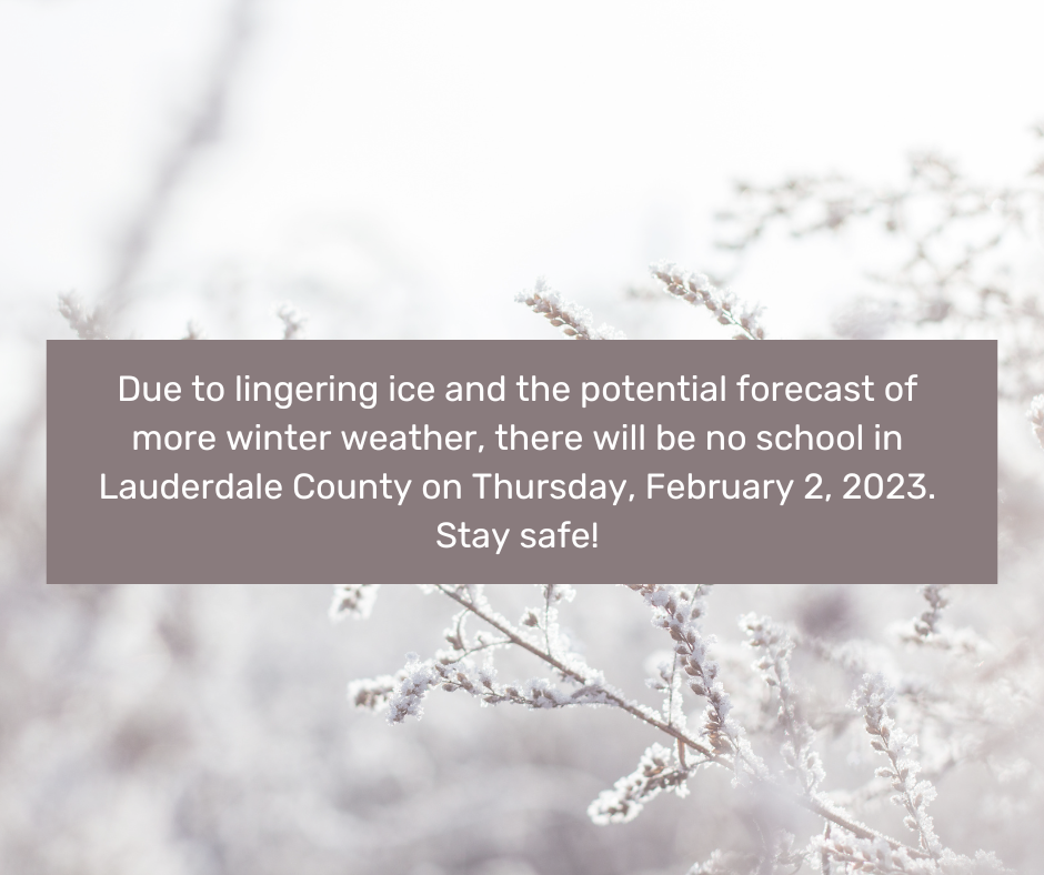 no school