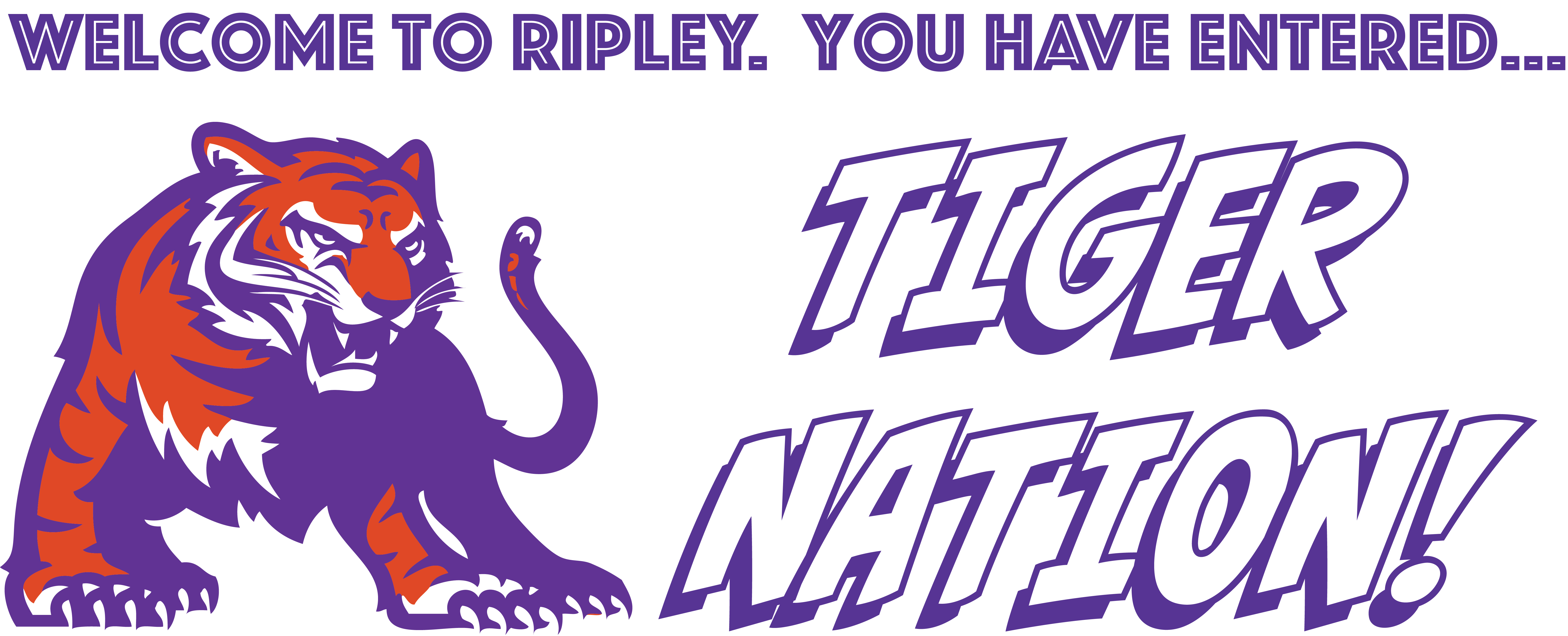 Ripley Primary School